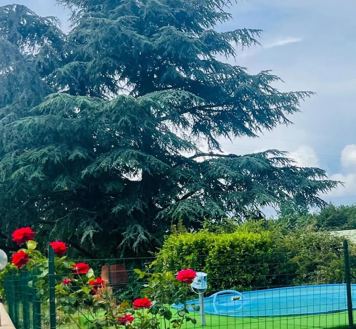Casa Vacanze La Farfalla Di Vittori Fabiola Sorano  0*, Sorano (Grosseto)