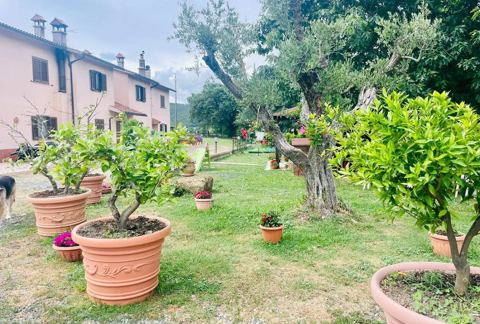 Holiday home Casa Vacanze La Farfalla Di Vittori Fabiola Sorano