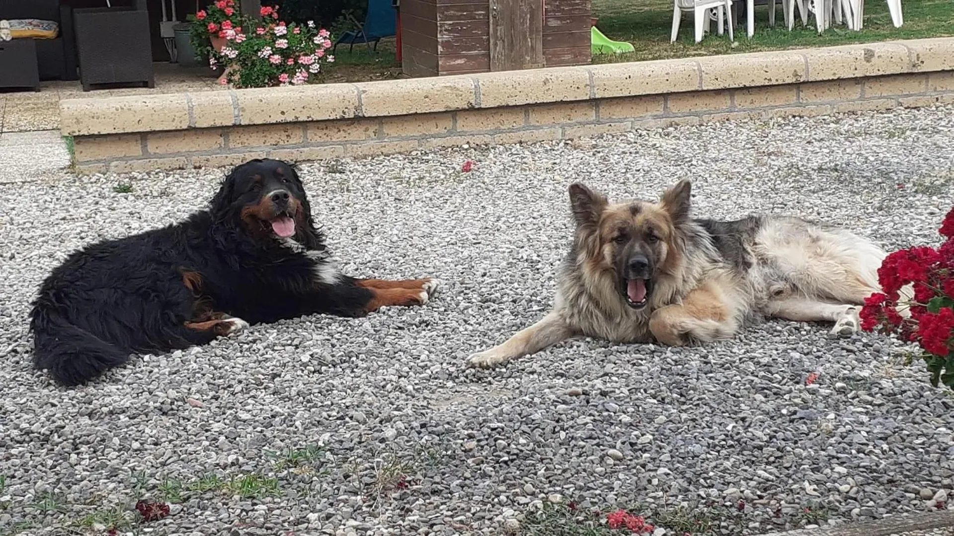 Dom wakacyjny Casa Vacanze La Farfalla Di Vittori Fabiola Sorano